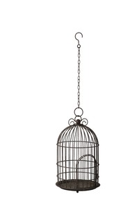☆新商品☆プラントホルダー【80310】