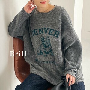 毛衣/针织衫 女士 狗 圆领