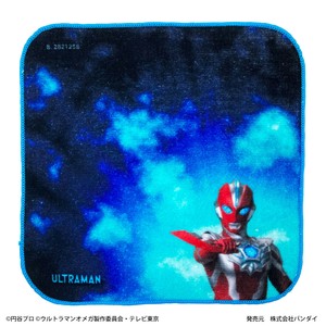 毛巾手帕 迷你毛巾