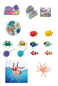 カラーチェンジ海洋生物