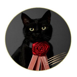 【バレンタイン数量限定】CACAOCAT缶 5個入 NOIR（チョコレート）