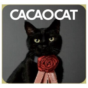 【バレンタイン数量限定】CACAOCAT缶 8個入 NOIR（チョコレート）
