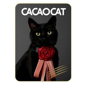【バレンタイン数量限定】CACAOCAT缶 14個入 NOIR（チョコレート）