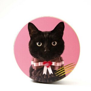 【バレンタイン数量限定】I love CACAOCAT缶 5個入（チョコレート）