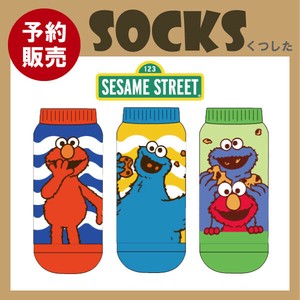 【予約販売】(12月入荷予定)レディース靴下　"セサミストリート"