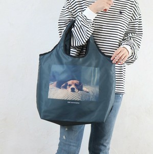 【定番】DOG DAY保冷保温コンパクトエコバッグ　イヌ　ビーグル