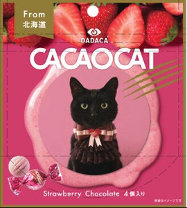 【9/12〜新発売】CACAOCAT ストロベリー 4個入【※同分類6ケース単位でのご注文必須】