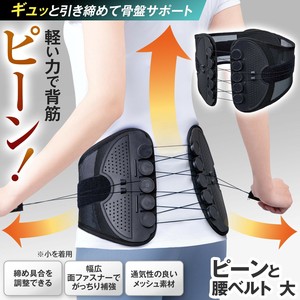 ピーンと腰ベルト　　大