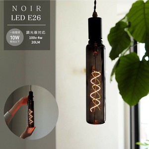 Edison Bulb LED E26 Noir [BIG TUBE]