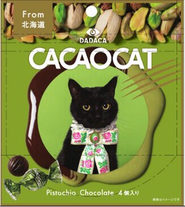 【9/12〜新発売】CACAOCAT ピスタチオ 4個入【※同分類6ケース単位でのご注文必須】