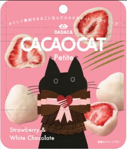 【9/12新発売】CACAOCAT petite イチゴトリュフ【6ケース同梱必須※4種フレーバーより選択可】