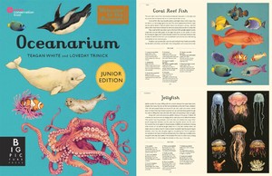 【特価品】ハウスオブマーブル  ウェルカム トゥーミュージアム オーシャナリウム・ジュニア【中国製】