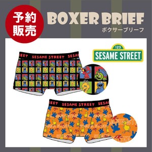 【予約販売】(1月入荷予定) ボクサーブリーフ "セサミストリート"