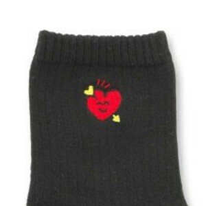【レディースサイズ】ししゅうソックス/クルー丈靴下/くつした/女性用/CREW SOCKS