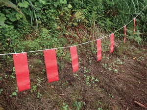 ハクビシンなぜ逃げる？