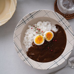 Donburi Bowl