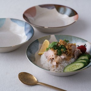 Donburi Bowl