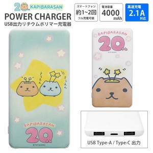 [カピバラさん20周年]USB/USB Type-C 4000mAh リチウムイオンポリマー充電器 2.1A