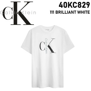 CALVIN KLEIN(カルバンクライン) Tシャツ 40KC829