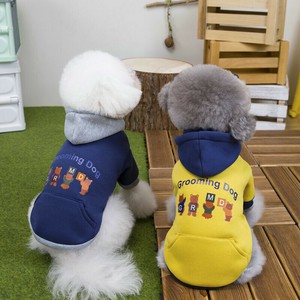 犬用服装 可爱 熊 2颜色