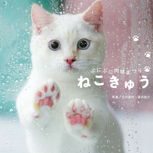 ぷにぷに肉球まつり　ねこきゅう