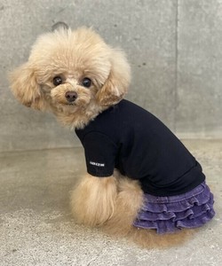 【2025春夏新作】NシンプリーT 犬服 シンプルデザイン無地半袖Tシャツ