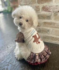 【2025春夏新作】Nくまっチュチュ☆T 犬服 袖チュール ベアプリント半袖Tシャツ
