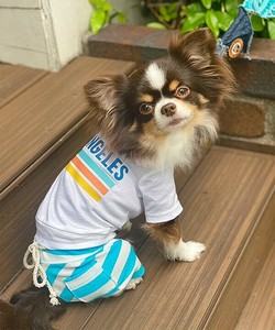 【2025春夏新作】NUVロサンゼルスT 犬服 ロサンゼルス 天竺UVカット半袖Tシャツ