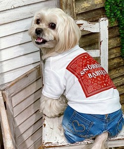 【2025春夏新作】NCバンダナT 犬服 バンダナ柄プリント ペイズリー柄半袖Tシャツ