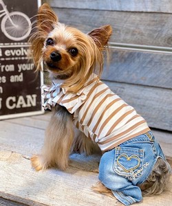 【2025春夏新作】NCボーダーフリフリTK 犬服 袖フリル 天竺 ボーダータンクトップ