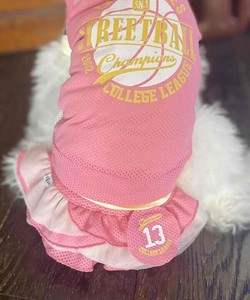 【2025春夏新作】NメッシュNOフリルSK 犬服 チアガールユニフォームメッシュフリルスカート 速乾 軽量