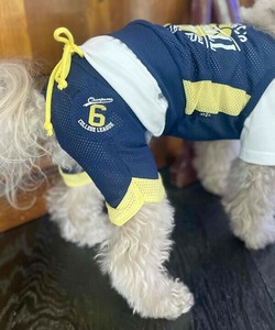 【2025春夏新作】NメッシュNOSPT 犬服 メッシュバスケットボールユニフォーム風パンツ 速乾 軽量