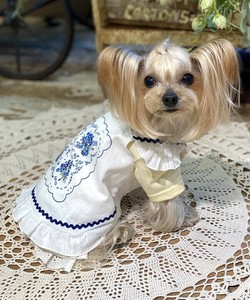 【2025春夏新作】NフラワーフリルTOP 犬服 フラワープリント フリルワンース