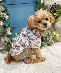 【2025春夏新作】Nパリでお散歩SH 犬服 フランス パリ 半袖シャツ