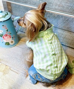 【2025春夏新作】NギンガムキャンディBL 犬服 チェック柄背中開きノースリーブブラウス