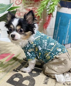 【2025春夏新作】NC☆がいっぱいPT 犬服 スター刺繍パンツ