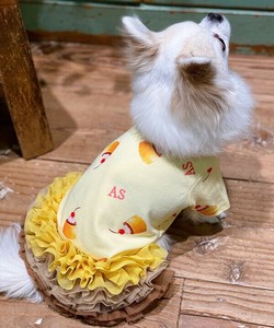 【2025春夏新作】NyummyチュチュSK 犬服 ボリューム チュールフリルスカート