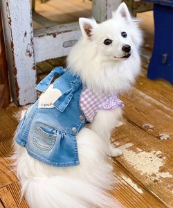 【2025春夏新作】CハートフルサロペSK 犬服 サガラハートワッペン デニムサロペットスカート クール加工