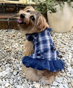 【2025春夏新作】チェックに花咲くOP 犬服 フラワーモチーフ付 チェック柄ワンピース