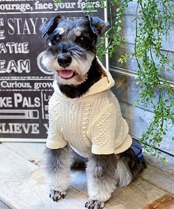【2025春夏新作】NサマーニットPK 犬服 サマーニット半袖フーディー