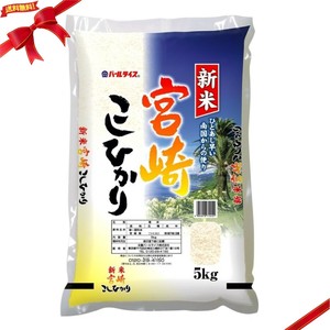 宮崎県産こしひかり 5kg 日本米 ブランド米