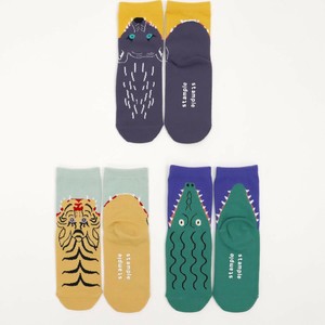 Pre-order Kids' Socks Ladies fashion Socks 3-pairs S/S