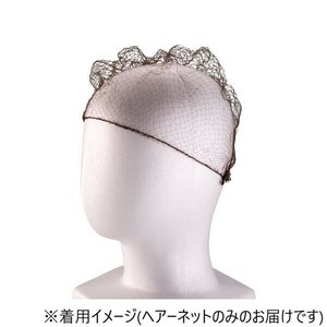 ヘアーネット(100枚入)　L　ダークブラウン　SNT0207