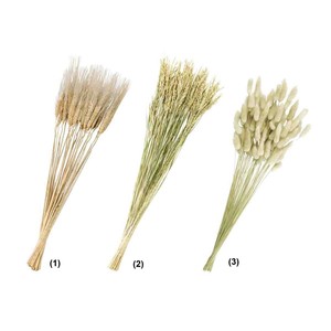 秋装飾品　ドライフラワー［天然素材]