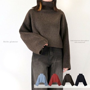 Sweater/Knitwear Bottle Neck Stripe Solid [2025 NEW]
