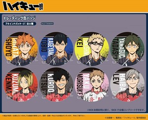 Toy Can Badge Trading Haikyu!!