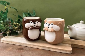日本茶杯 水獭 礼盒/礼品套装 动物