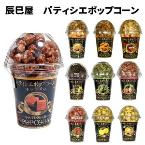 【9/2出荷可能】辰巳屋 パティシエ ポップコーン カップ 10種  80g