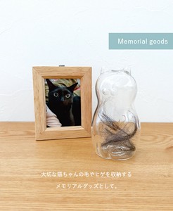 杯子/保温杯 猫 1月中旬进货