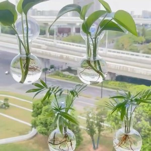 花瓶  水耕栽培 プラスチック 置物 4点セット  DYLB966